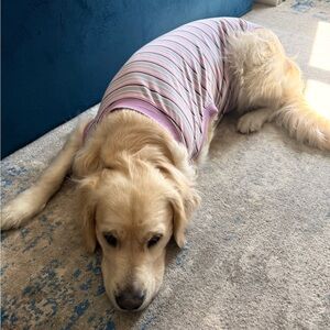 NWT Striped Dog Recovery Onesie - Pink and Purple - XXL